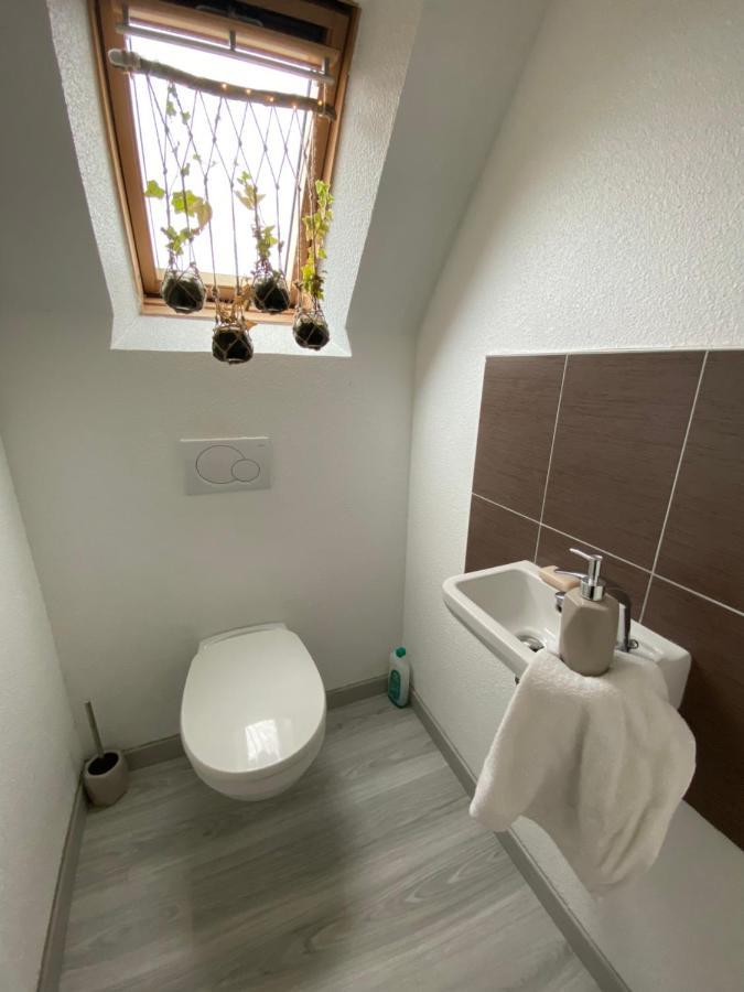 Au Paradis D'Alsace 55 M2 Nature & Relax Ingwiller Exterior foto